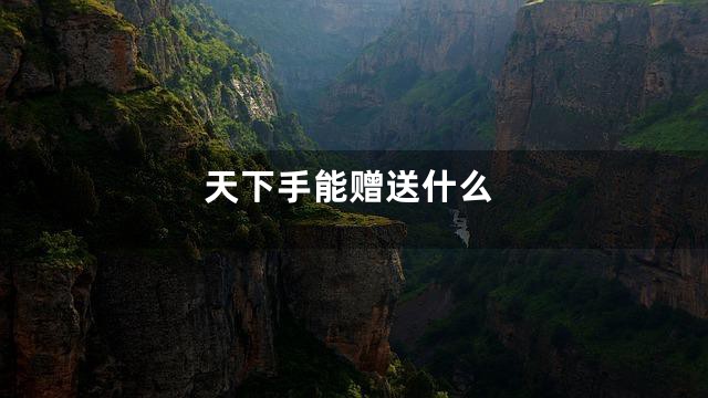 天下手能赠送什么