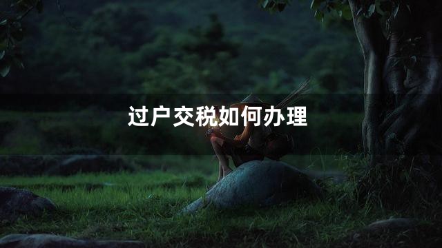 过户交税如何办理
