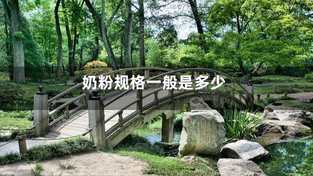 奶粉规格一般是多少