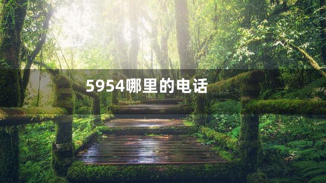 5954哪里的电话