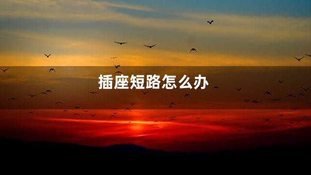 插座短路怎么办