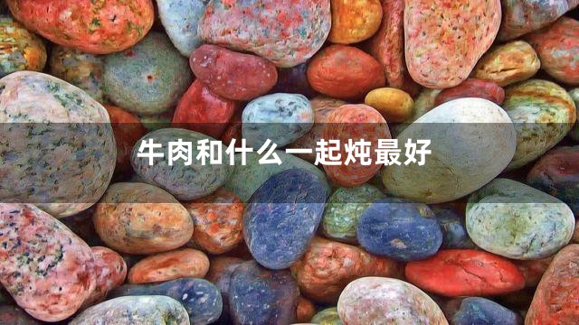 牛肉和什么一起炖最好