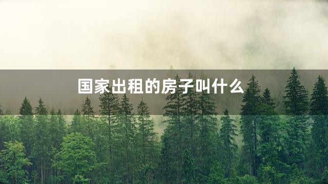 国家出租的房子叫什么