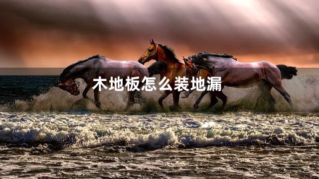 木地板怎么装地漏