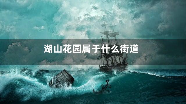 湖山花园属于什么街道