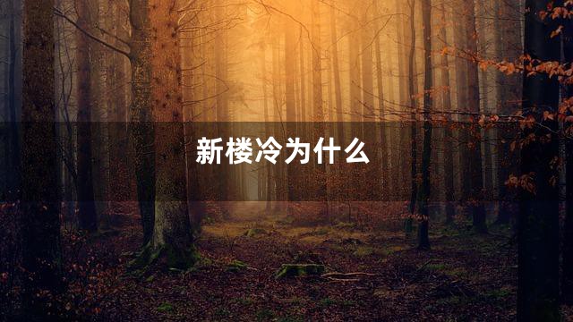 新楼冷为什么