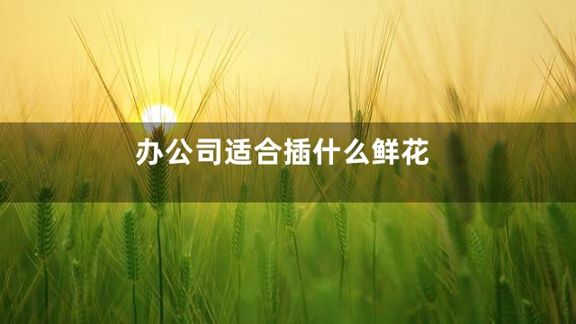 办公司适合插什么鲜花