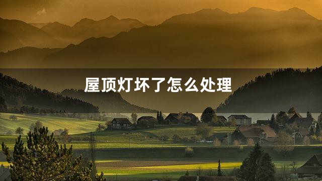 屋顶灯坏了怎么处理