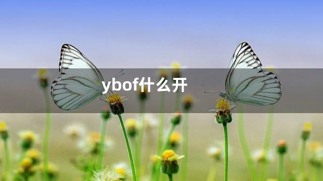 ybof什么开