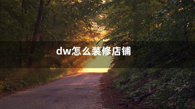 dw怎么装修店铺