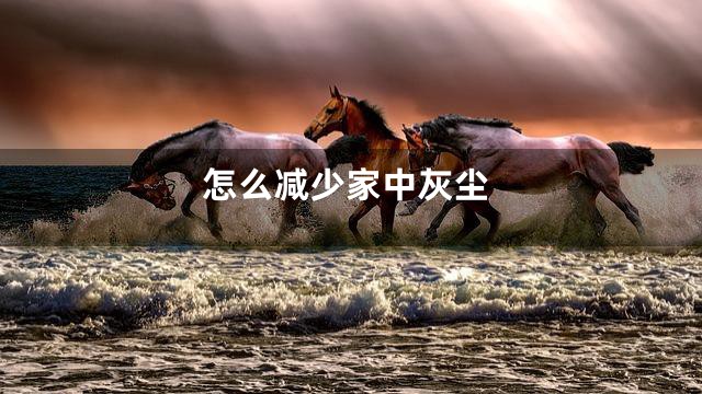 怎么减少家中灰尘