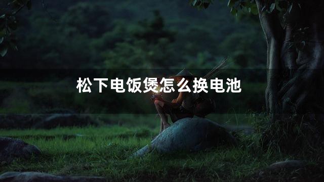 松下电饭煲怎么换电池