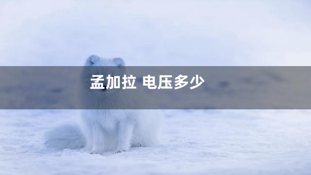 孟加拉 电压多少