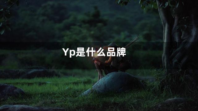 Yp是什么品牌