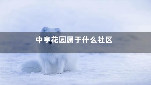中亨花园属于什么社区