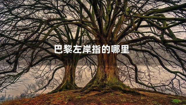 巴黎左岸指的哪里