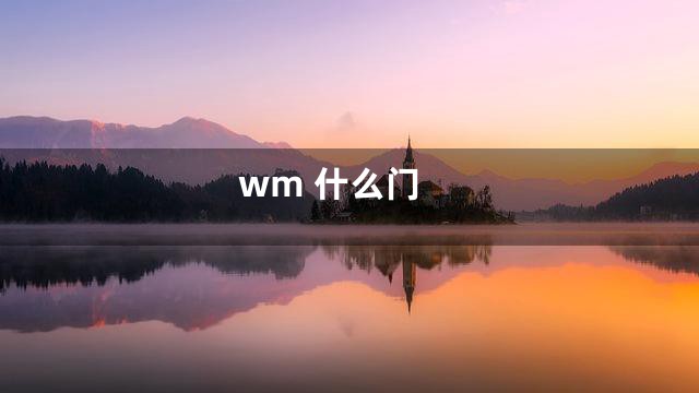 wm 什么门