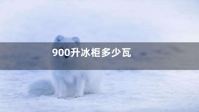 900升冰柜多少瓦