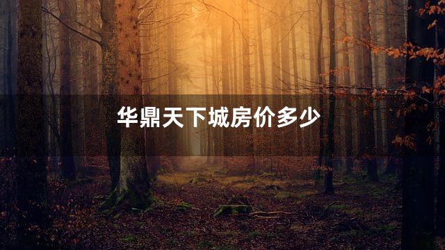 华鼎天下城房价多少