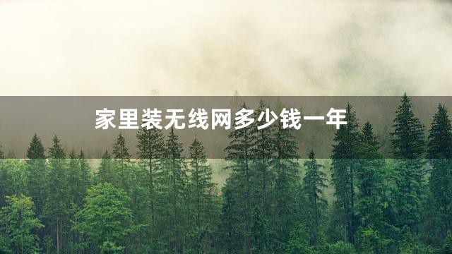 家里装无线网多少钱一年