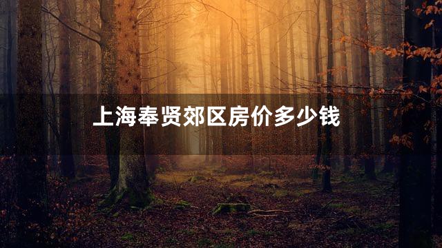 上海奉贤郊区房价多少钱