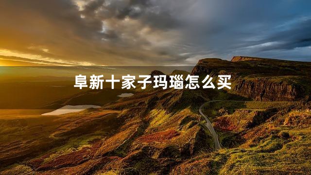 阜新十家子玛瑙怎么买