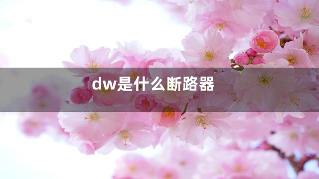dw是什么断路器