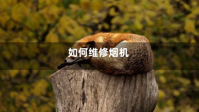 如何维修烟机