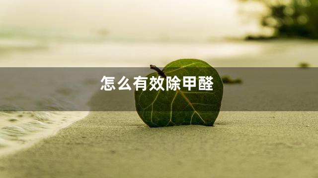 怎么有效除甲醛