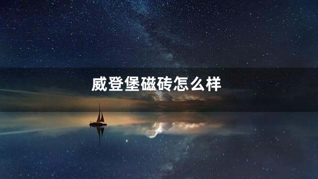 威登堡磁砖怎么样