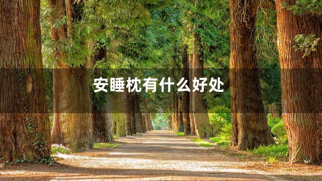 安睡枕有什么好处