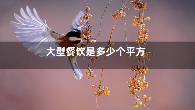 大型餐饮是多少个平方