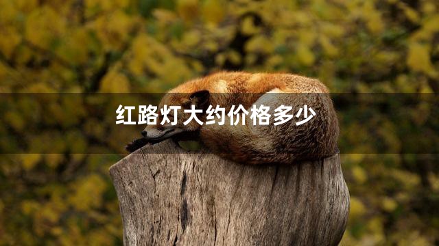红路灯大约价格多少