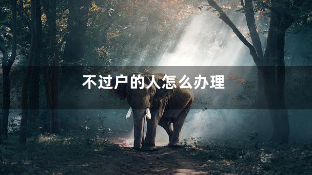 不过户的人怎么办理