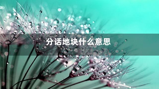 分话地块什么意思