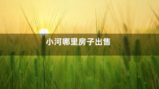 小河哪里房子出售