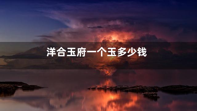 洋合玉府一个玉多少钱