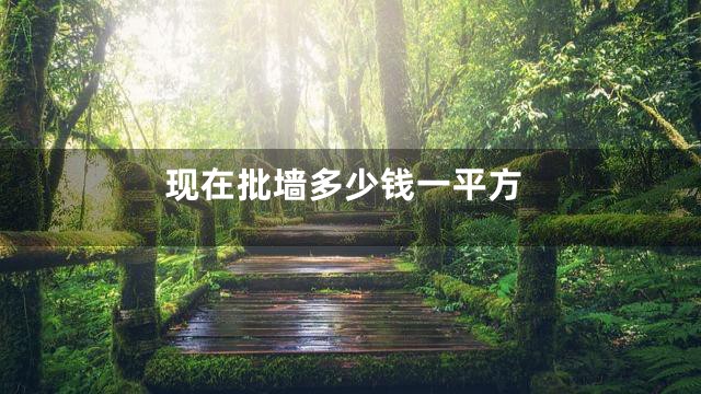 现在批墙多少钱一平方