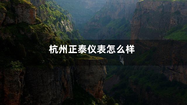 杭州正泰仪表怎么样