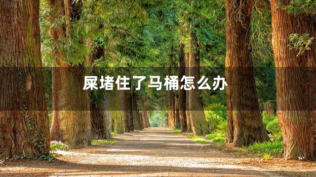 屎堵住了马桶怎么办