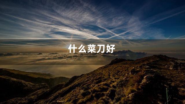 什么菜刀好