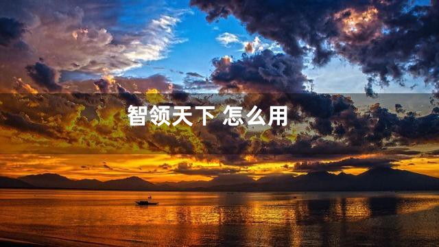 智领天下 怎么用