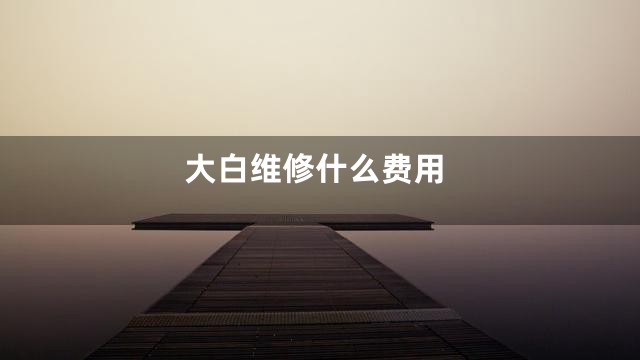 大白维修什么费用