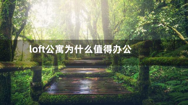 loft公寓为什么值得办公