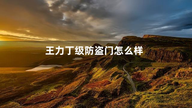 王力丁级防盗门怎么样