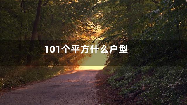 101个平方什么户型