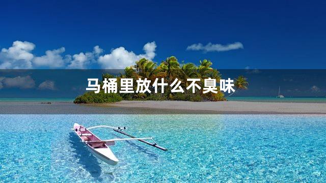 马桶里放什么不臭味