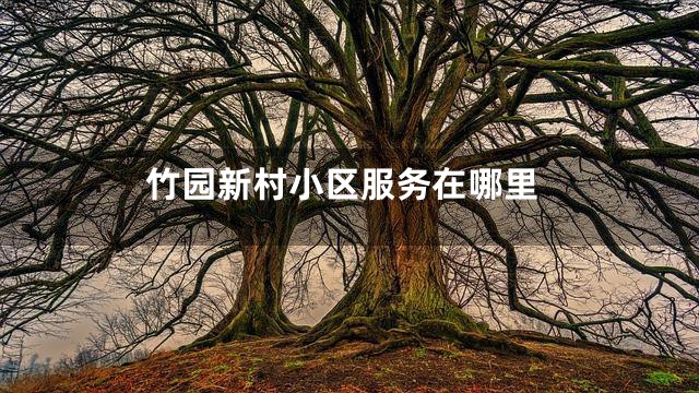 竹园新村小区服务在哪里