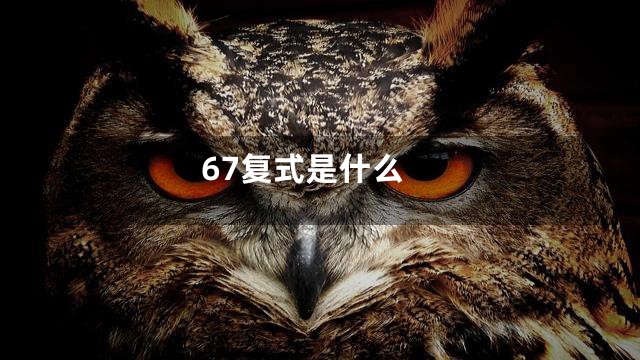 67复式是什么