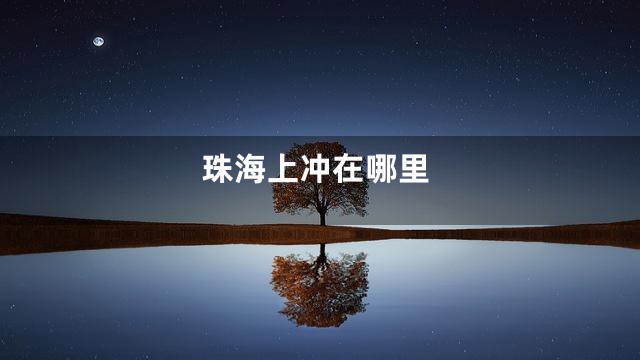 珠海上冲在哪里